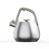 LEO Fluitketel Sage 2,50L